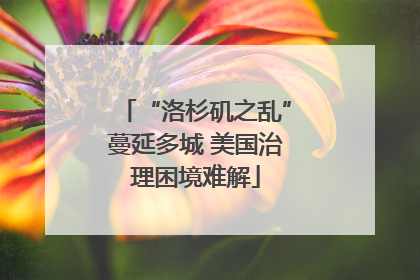 “洛杉矶之乱”蔓延多城 美国治理困境难解