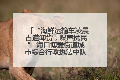 “海鲜运输车凌晨占道卸货，噪声扰民” 海口博爱街道城市综合行政执法中队：将联合交警加强长堤路一带巡逻