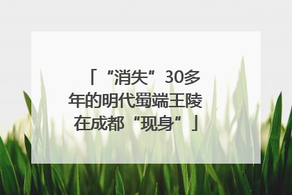 “消失”30多年的明代蜀端王陵在成都“现身”
