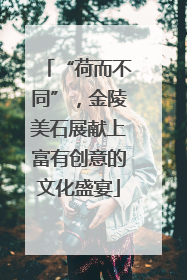 “荷而不同”，金陵美石展献上富有创意的文化盛宴