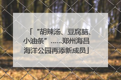 “胡辣汤、豆腐脑、小油条”……郑州海昌海洋公园再添新成员