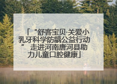 “舒客宝贝·关爱小乳牙科学防龋公益行动” 走进河南唐河县助力儿童口腔健康