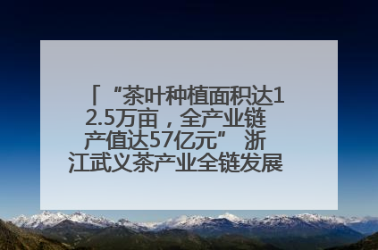 “茶叶种植面积达12.5万亩，全产业链产值达57亿元” 浙江武义茶产业全链发展“加速度”