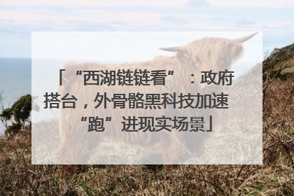 “西湖链链看”：政府搭台，外骨骼黑科技加速“跑”进现实场景