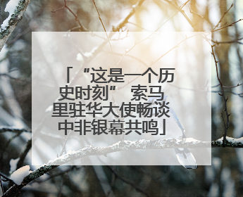 “这是一个历史时刻” 索马里驻华大使畅谈中非银幕共鸣