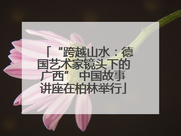 “跨越山水：德国艺术家镜头下的广西” 中国故事讲座在柏林举行
