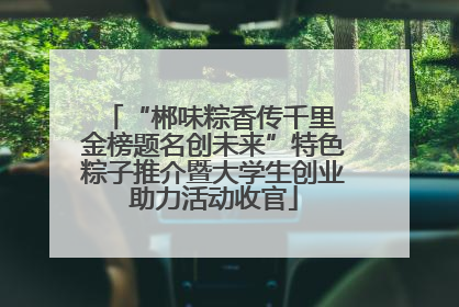 “郴味粽香传千里 金榜题名创未来”特色粽子推介暨大学生创业助力活动收官