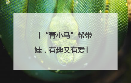 “青小马”帮带娃，有趣又有爱
