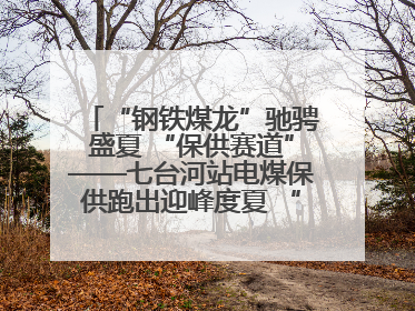 “钢铁煤龙”驰骋盛夏 “保供赛道”——七台河站电煤保供跑出迎峰度夏 “加速度”