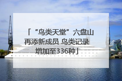 “鸟类天堂”六盘山再添新成员 鸟类记录增加至336种