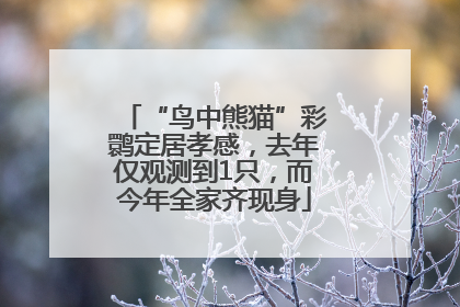 “鸟中熊猫”彩鹮定居孝感，去年仅观测到1只，而今年全家齐现身