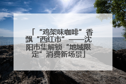 “鸡架味咖啡”香飘“西红市”——沈阳市集解锁“地域限定”消费新场景