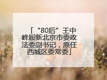 “80后”王中峰履新北京市委政法委副书记，原任西城区委常委