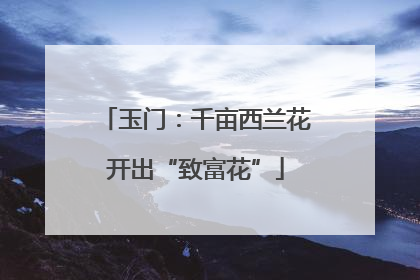 玉门：千亩西兰花开出“致富花”