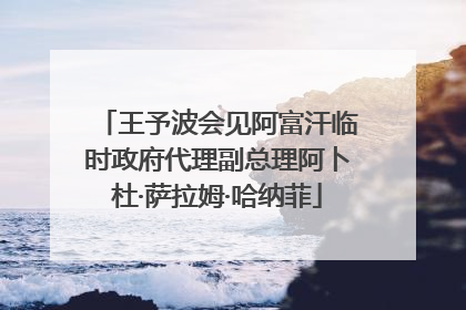 王予波会见阿富汗临时政府代理副总理阿卜杜·萨拉姆·哈纳菲