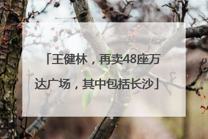 王健林，再卖48座万达广场，其中包括长沙