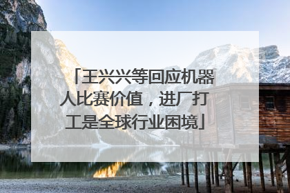 王兴兴等回应机器人比赛价值，进厂打工是全球行业困境