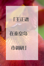 王正谱在秦皇岛市调研