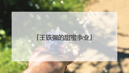 王铁强的甜蜜事业