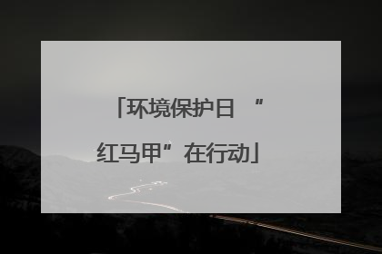 环境保护日 “红马甲”在行动