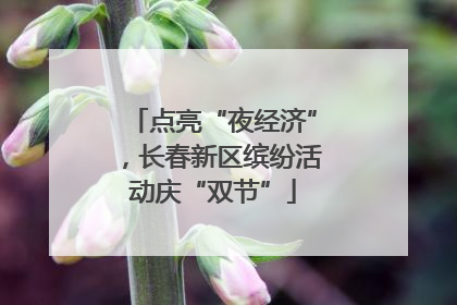点亮“夜经济”，长春新区缤纷活动庆“双节”