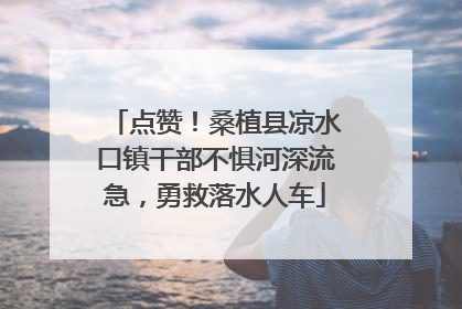 点赞！桑植县凉水口镇干部不惧河深流急，勇救落水人车