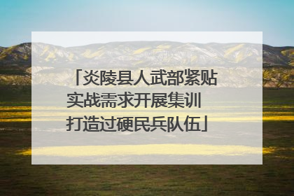 炎陵县人武部紧贴实战需求开展集训 打造过硬民兵队伍