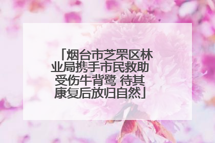 烟台市芝罘区林业局携手市民救助受伤牛背鹭 待其康复后放归自然
