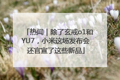 热闻｜除了玄戒o1和YU7，小米这场发布会还官宣了这些新品