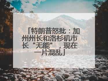 特朗普怒批：加州州长和洛杉矶市长“无能”，现在一片混乱