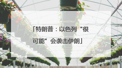 特朗普：以色列“很可能”会袭击伊朗