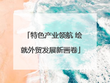 特色产业领航 绘就外贸发展新画卷