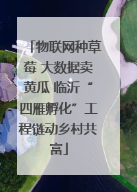 物联网种草莓 大数据卖黄瓜 临沂“四雁孵化”工程链动乡村共富