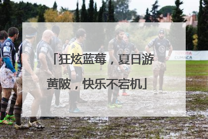狂炫蓝莓，夏日游黄陂，快乐不宕机