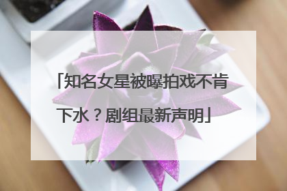 知名女星被曝拍戏不肯下水？剧组最新声明