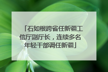 石如根跨省任新疆工信厅副厅长，连续多名年轻干部调任新疆