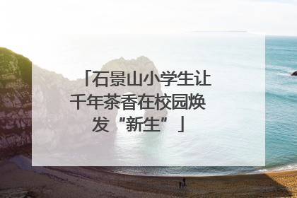 石景山小学生让千年茶香在校园焕发“新生”