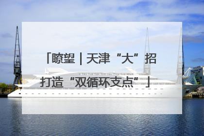 瞭望｜天津“大”招打造“双循环支点”