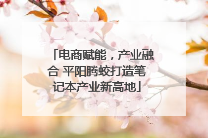 电商赋能，产业融合 平阳腾蛟打造笔记本产业新高地