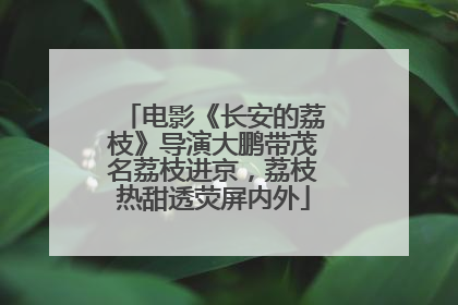 电影《长安的荔枝》导演大鹏带茂名荔枝进京，荔枝热甜透荧屏内外