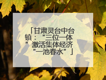 甘肃灵台中台镇：“三位一体”激活集体经济“一池春水”