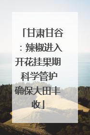 甘肃甘谷：辣椒进入开花挂果期 科学管护确保大田丰收