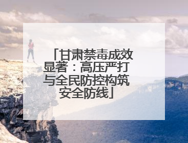 甘肃禁毒成效显著：高压严打与全民防控构筑安全防线
