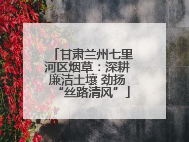 甘肃兰州七里河区烟草：深耕廉洁土壤 劲扬“丝路清风”
