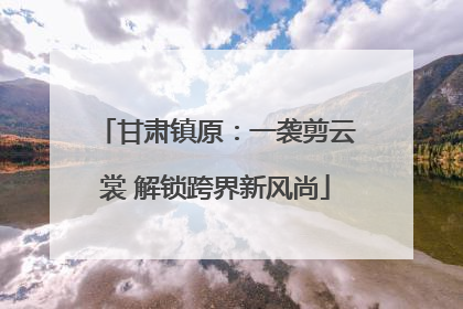 甘肃镇原：一袭剪云裳 解锁跨界新风尚