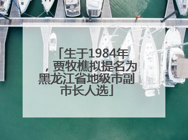 生于1984年，贾牧樵拟提名为黑龙江省地级市副市长人选