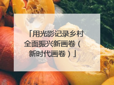 用光影记录乡村全面振兴新画卷（新时代画卷）
