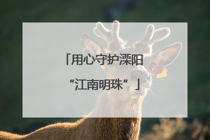 用心守护溧阳“江南明珠”