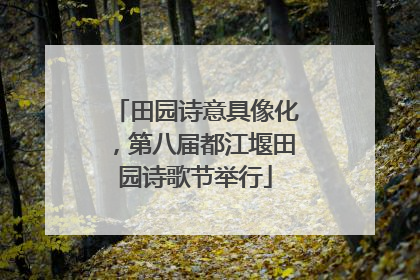 田园诗意具像化，第八届都江堰田园诗歌节举行