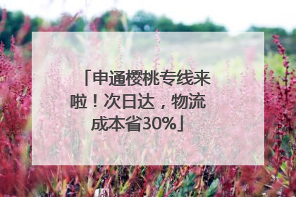 申通樱桃专线来啦！次日达，物流成本省30%